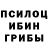 Псилоцибиновые грибы мухоморы Renat Nurgaliev