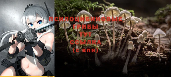 скорость Балахна