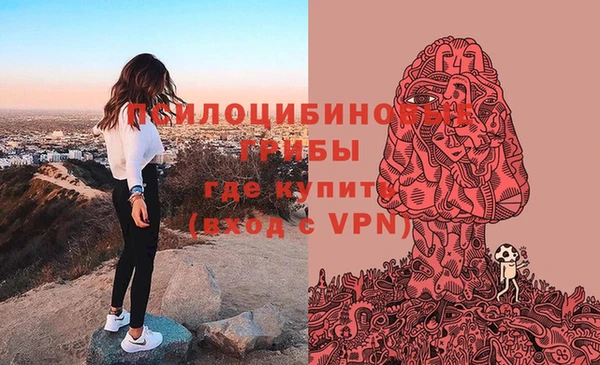 марки nbome Арсеньев