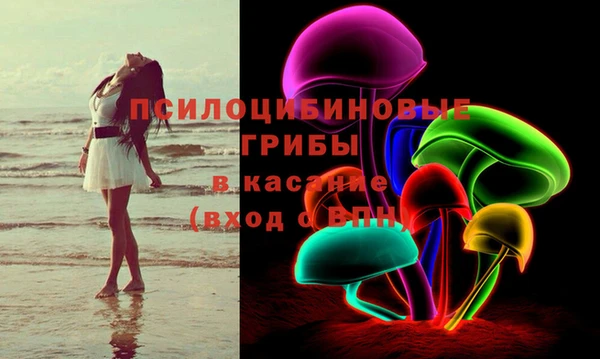 крисы Армянск